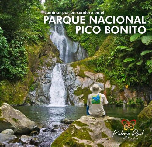 Gallery image of Family Paradise in Palma Real in La Ceiba