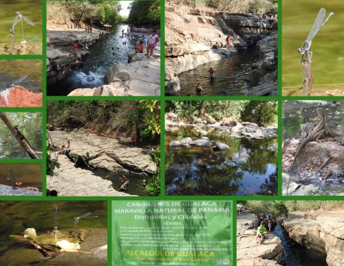 a collage of photos of people swimming in a river at PaCasa Hostel in David