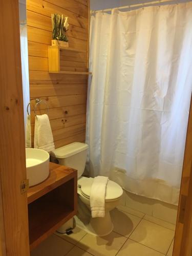 een badkamer met een toilet en een wastafel bij Cabañas Borgolafquen in Panguipulli