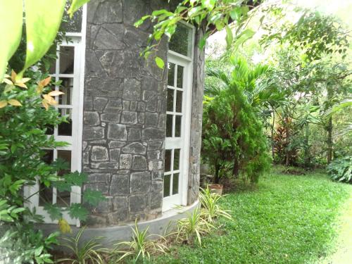 a window of a stone house with green plants at The Rock House in Katunayake