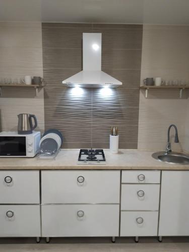 a kitchen with a counter top with a sink and a microwave at Студия на Проскуровской 16 in Khmelʼnytsʼkyy
