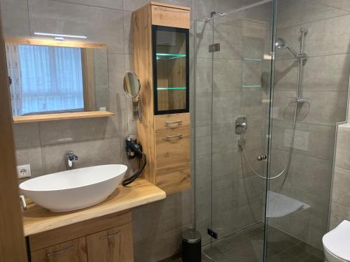 a bathroom with a sink and a glass shower at Apart Wexwood in Hart im Zillertal