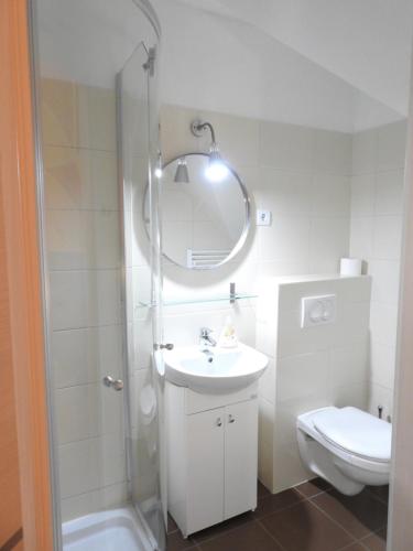 a bathroom with a shower and a sink and a toilet at Woldo Vendégház in Töltéstava