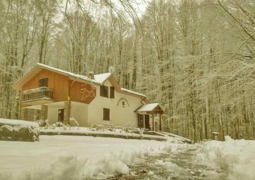 een huis bedekt met sneeuw in het bos bij Chalet Il Cristallo-Monte Amiata in Castel del Piano