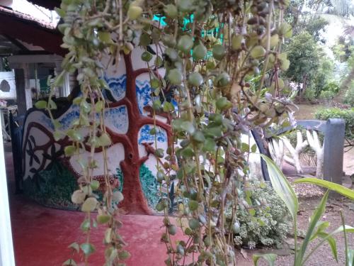 a tree in front of a wall with a painting at Paddy Field Villa Midigama in Midigama