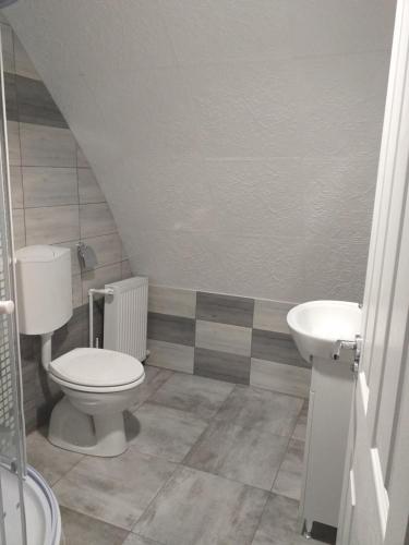a bathroom with a toilet and a sink at Hotel Hobby in Hunedoara