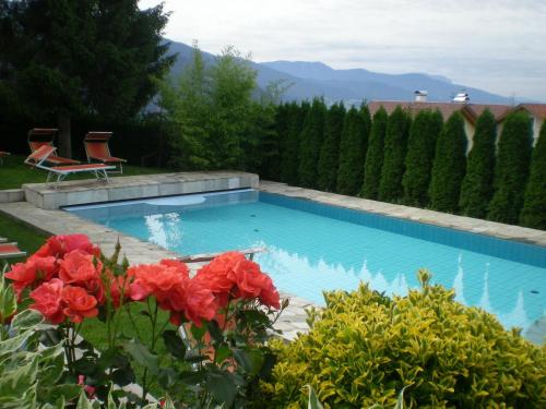 a swimming pool in a yard with red flowers at Hotel Rosenheim in Rodengo