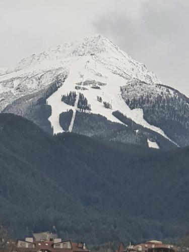 a snow covered mountain with houses in front of it at Тодор Прегьов in Bansko