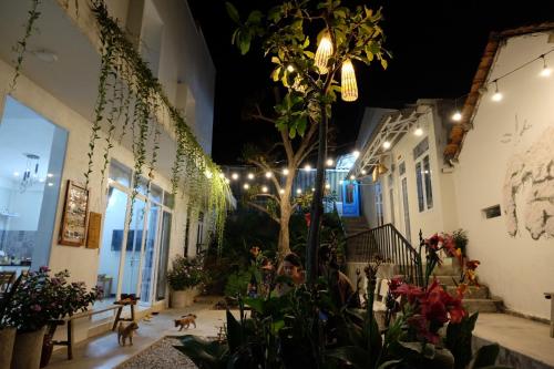 a courtyard of a building at night with two dogs at Kontum Home Sweet Homestay in Kon Tum