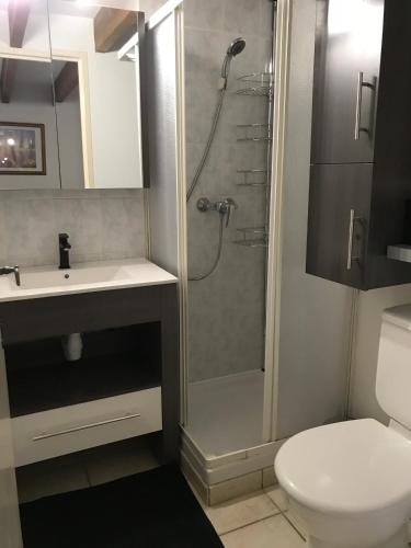 une salle de bain avec une douche, un lavabo et des toilettes dans l'établissement Mazet Lavande, à Saint-Martin-de-Brômes