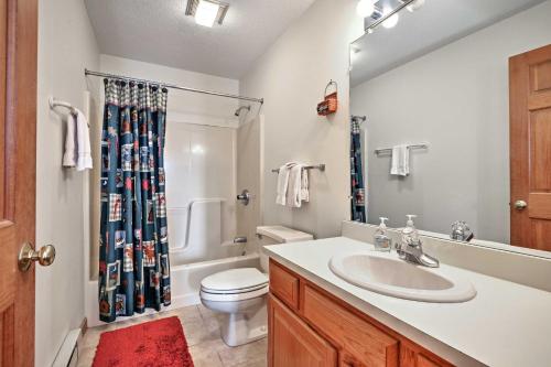 巴特利特Bartlett Condo with Mountain Views Near Ski Resorts!的带水槽、马桶和淋浴的浴室