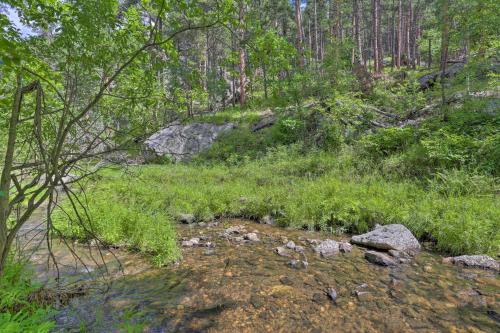a creek in the middle of a forest at Historic Keystone Cabin Near Mount Rushmore! in Keystone