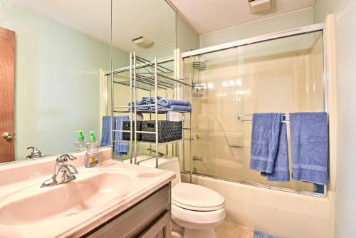 a bathroom with a sink and a toilet and a shower at Peaceful Hamlin Home with Lake Access at The Hideout in Hamlin