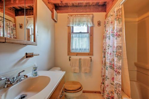 un bagno con lavandino, WC e finestra di Leelanau Country Cottage about 4 Mi to Suttons Bay! a Suttons Bay