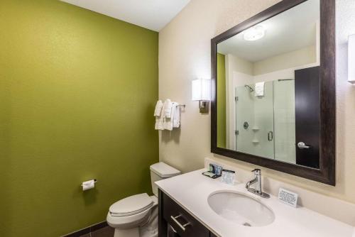 Kúpeľňa v ubytovaní Sleep Inn Dallas Love Field-Medical District
