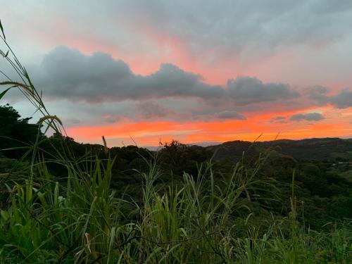 a sunset over a field with plants in the foreground at Globi Lodge #4 in Monteverde Costa Rica