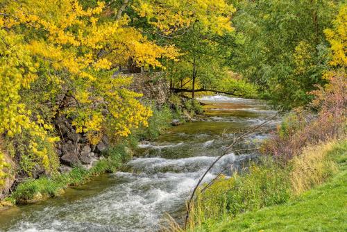 a river with rapids in the middle of a forest at Lava Hot Springs Studio - Walk to Portneuf River! in Lava Hot Springs