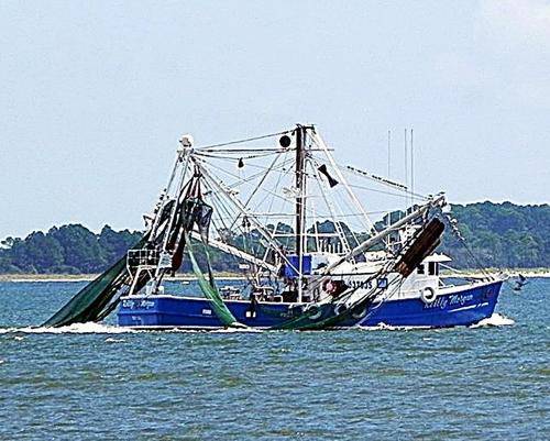 a blue and white boat in the water at Oceanfront Hilton Head Island Condo with Pool Access in Hilton Head Island