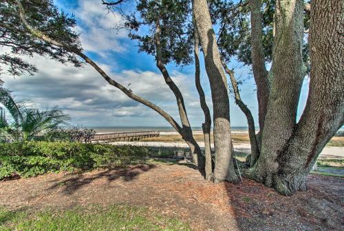 a group of trees next to the beach at Oceanfront Hilton Head Island Condo with Pool Access in Hilton Head Island