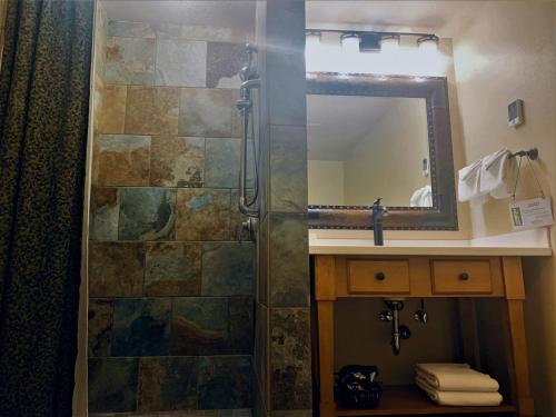 a bathroom with a shower with a sink and a mirror at The Rockwell Inn in Jackson