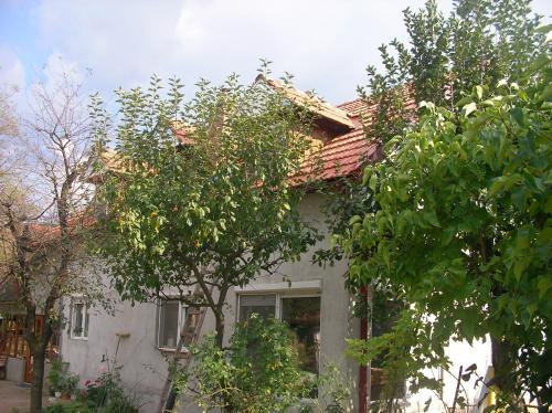 Gallery image of REB/MAR RomSpa in Brad