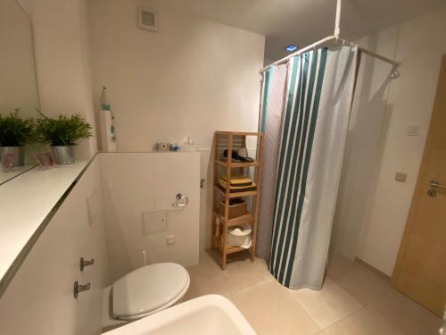 a bathroom with a shower and a toilet and a sink at Apartment am Pulverturm in Quedlinburg