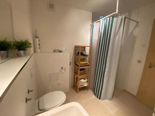 ein Bad mit einer Dusche, einem WC und einem Waschbecken in der Unterkunft Apartment am Pulverturm in Quedlinburg