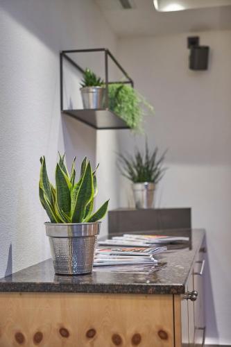a counter with potted plants on top of it at Hotel Hubertushof in Saalbach Hinterglemm
