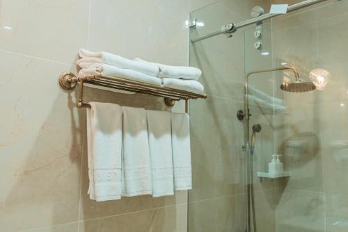 大叻的住宿－La Vie En Rose Villa，带淋浴的浴室和带毛巾架的浴室