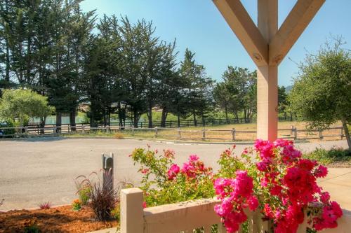 Serene Bungalow-Style Home in Point Reyes Station!