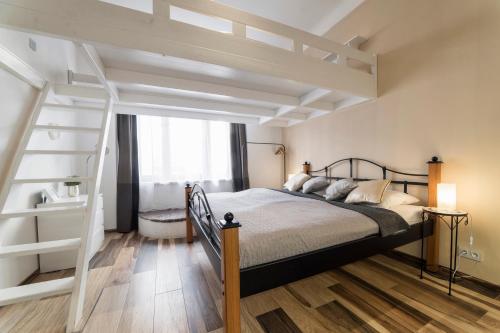 a bedroom with a loft bed and a ladder at Bilkova Old Town Residence in Prague