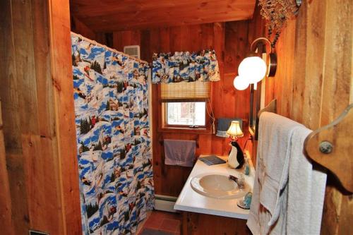 a bathroom with a sink and a shower curtain with cows at South Londonderry Home, Walk to Magic Mtn Ski Area in Londonderry