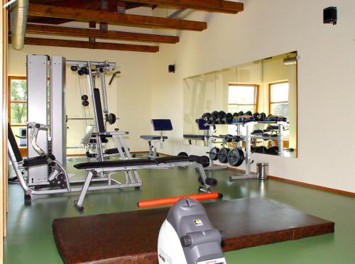 a gym with several machines and a mirror at Wellness Hotel Happy Star in Hnanice