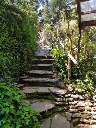 a stone path in a garden with plants at La Rueda del Chucao in Valdivia