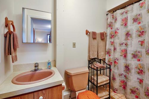 uma casa de banho com um lavatório, um WC e um chuveiro em Mountain Top Country Hideaway 48 Acres, Fire Pit! em Leonardsville