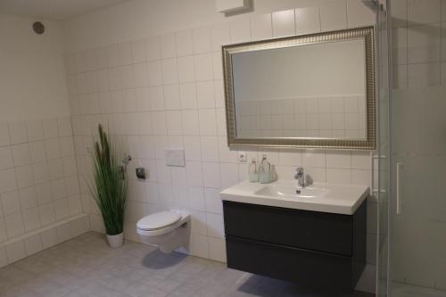 een badkamer met een wastafel, een toilet en een spiegel bij Dünenhaus Wohnung 9 in Lübeck