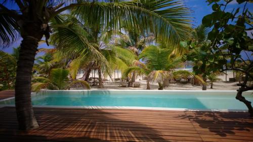 una piscina con palme sullo sfondo di Almaplena Boutique Hotel a Mahahual