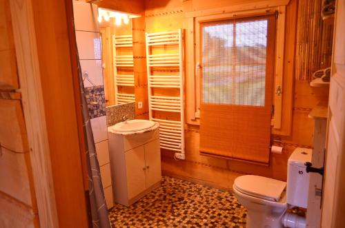 a bathroom with a toilet and a sink at La Clé Des Champs in Biltzheim