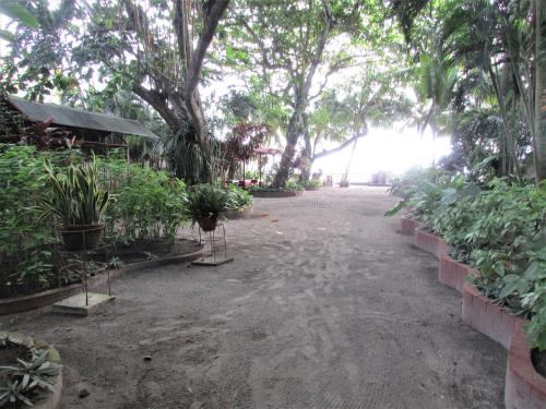 a dirt road with trees and plants on it at Felipa Beach and Guesthouse - Gumamela in Dumaguete