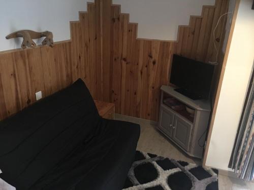 a living room with a bed and a television at Charmant studio in La Bresse