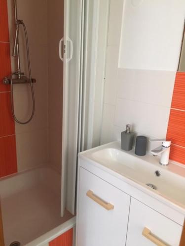 Filipovice的住宿－Apartmán Filipovice s letní terasou，浴室配有白色水槽和淋浴。