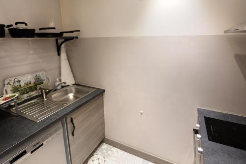 a small kitchen with a sink and a counter at Appartement La Haute Preze & Golffrance in Rouzède