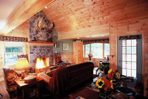 Fryeburg的住宿－Upscale Fryeburg Cabin Hot Tub and Billiards Table!，带沙发和壁炉的客厅