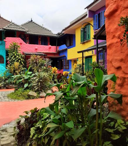 a group of colorful buildings with plants in the foreground at CasKaffeSu Hotel and Restaurant Mindo in Mindo