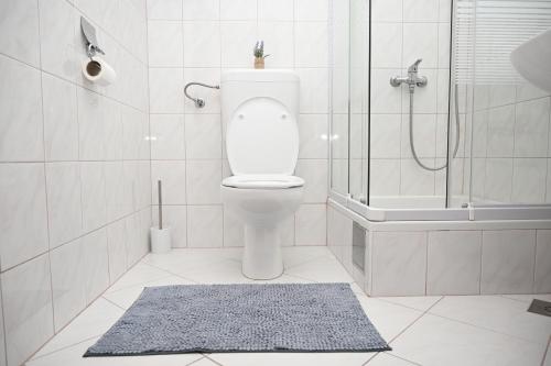 a bathroom with a toilet and a shower and a rug at Apartments "sea view" Miki & Ivana in Bol