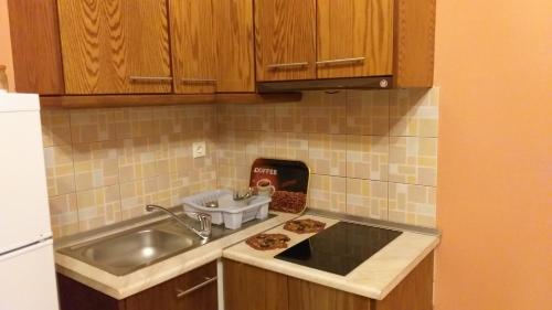 una cocina con fregadero y una barra con 2 pizzas en Studio Alexis, en Ksamil