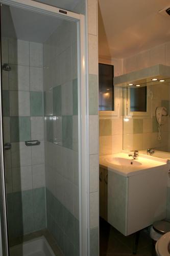 une salle de bain avec douche et lavabo dans l'établissement Arbizonloc, à Guchen