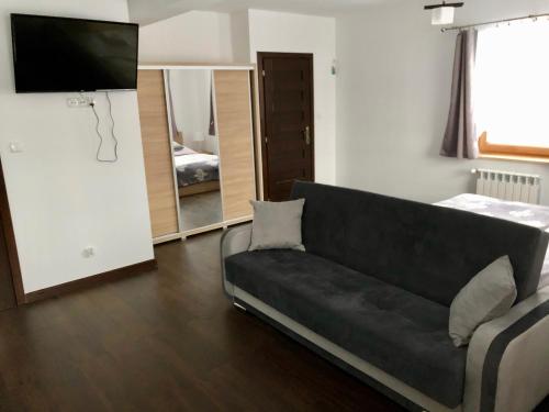 salon z kanapą i telewizorem w obiekcie Apartamenty u Krysi w mieście Witów