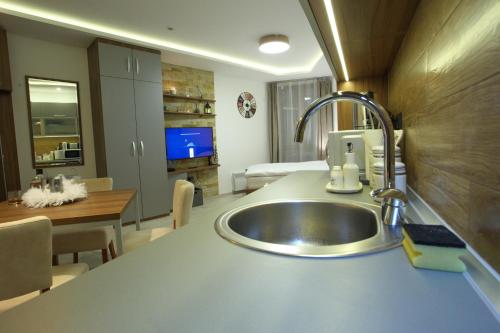 kuchnia ze zlewem i salon w obiekcie Apartman BIG Milmari S19 w mieście Kopaonik