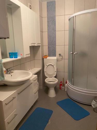 a bathroom with a toilet and a sink and a shower at Apartman 3S Pale Jahorina in Pale